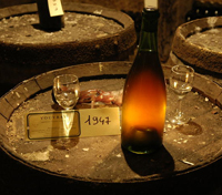 Wine tasting Wine tasting